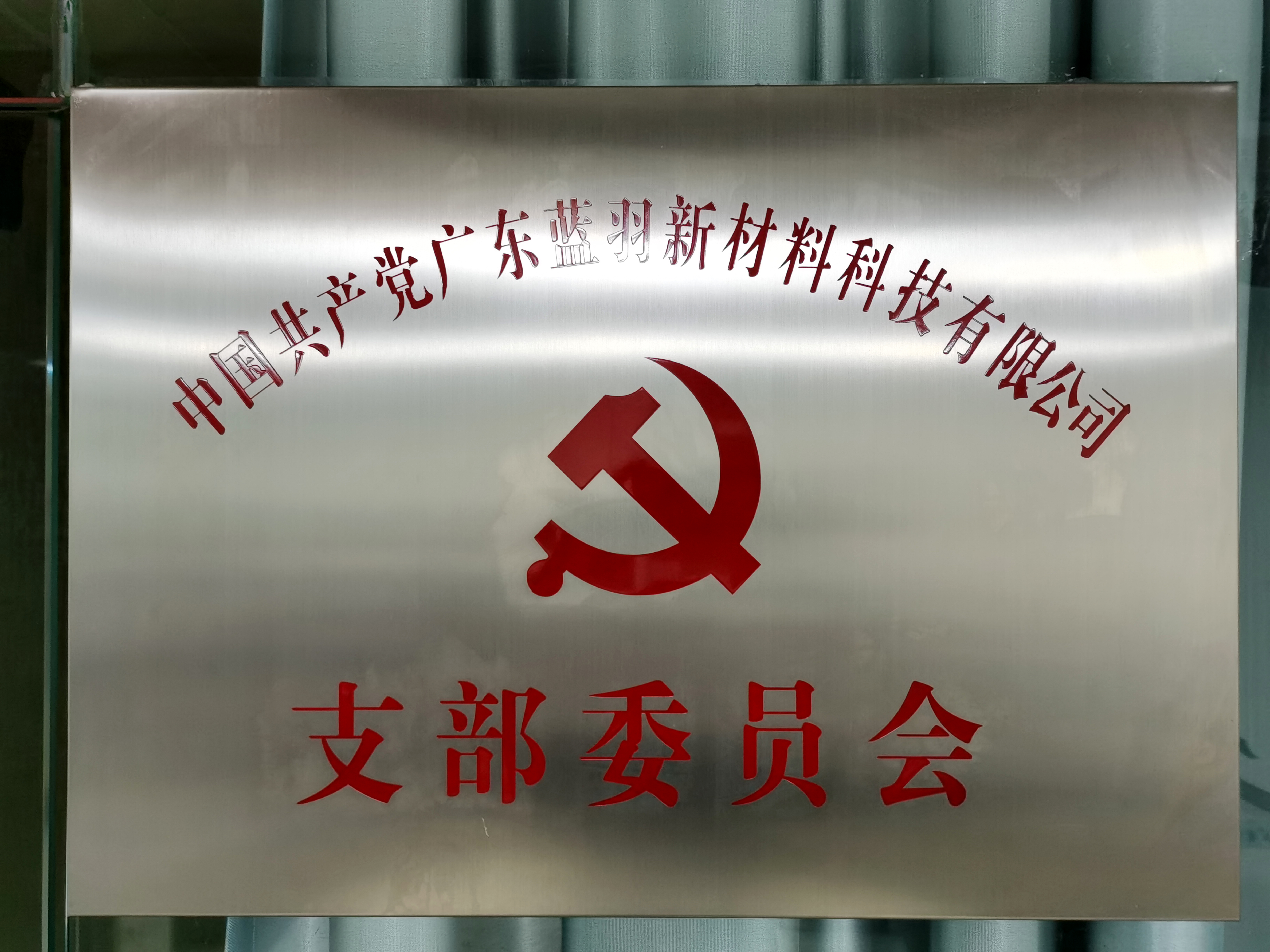 扬帆起航，热烈祝贺蓝羽支部委员会成立